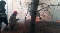 Znowu płonie strefa czarnobylska (FOTOREPORTAŻ)