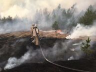 Walka z pożarami na Żytomierszczyźnie i w pobliżu Czarnobylskiej Elektrowni Atomowej zakończona. Zełenski podziękował strażakom