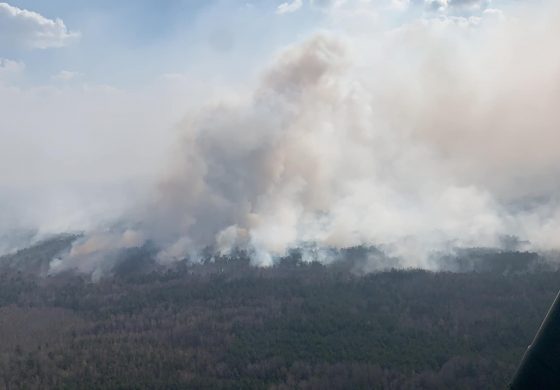 MSW Ukrainy: pożary na Ukrainie mogą być zaplanowaną dywersją