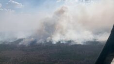 MSW Ukrainy: pożary na Ukrainie mogą być zaplanowaną dywersją