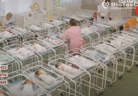Reakcje kijowskiego polityka oraz rzecznika praw dzieci na skandal z noworodkami z matek zastępczych