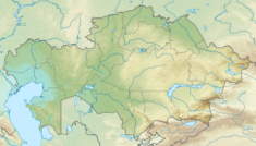 Tysiące migrantów zarobkowych koczują na przejściu granicznym w Kazachstanie