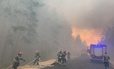 Pożary lasów w obwodzie ługańskim