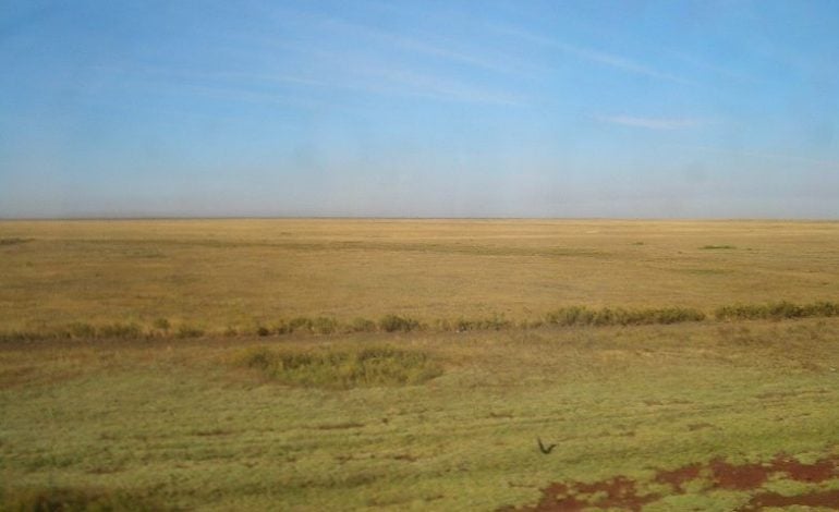 Kazachstan zezwolił na transfer migrantów