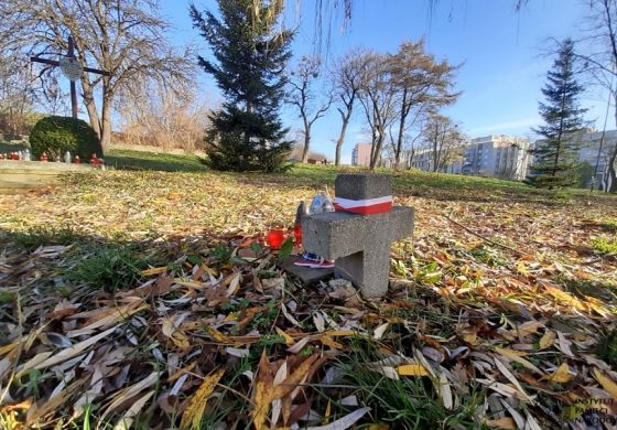Szukam informacji o dziadkach zamordowanych we wsi Zieleniów