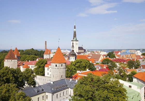 Kluby nocne w Tallinie będą miały... jasną definicję