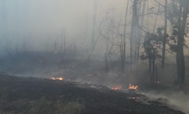 Podczas gaszenia pożaru w obwodzie ługańskim zginął ukraiński żołnierz