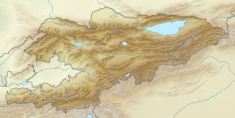 Kirgistan pozwala Uzbekom na wjazd do kraju