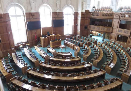 Duńscy parlamentarzyści padli ofiarą "Swietłany Tichanowskiej"