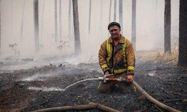 Pożary lasów w obwodzie ługańskim zostały ugaszone