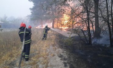 W pożarach lasów w obwodzie ługańskim zginęło dziewięć osób