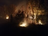 Pożary w obwodzie ługańskim. Ukraińska prokuratura wszczęła śledztwo