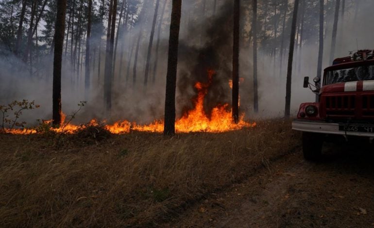 Kolejne ofiary pożarów w obwodzie ługańskim. Ukraińscy wojskowi pokazali film, na którym uchwycono celowe wzniecanie pożaru przez „separatystów” (WIDEO)