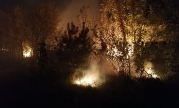 Pożary w obwodzie ługańskim. Ukraińska prokuratura wszczęła śledztwo