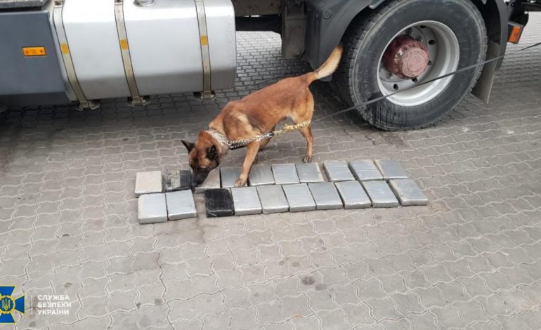 W porcie koło Odessy uniemożliwiono kontrabandę kokainy z Ekwadoru o wartości 4 mln dolarów