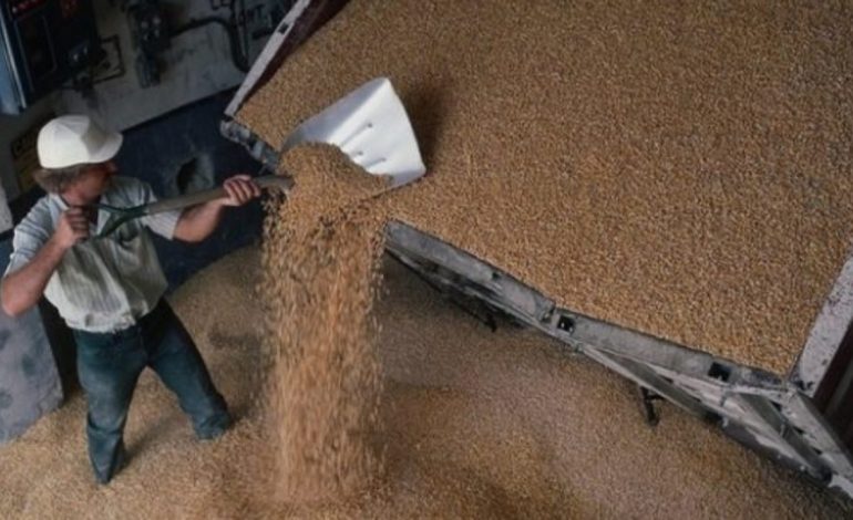 Audyt Państwowej Służby Kontroli Ukrainy w Rezerwie Państwowej ujawnił złodziejstwa i machinacje na setki milionów dolarów