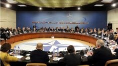 Wśród krajów NATO brak konsensusu co do tego, jak postępować z Rosją. Ukraina prosi o broń