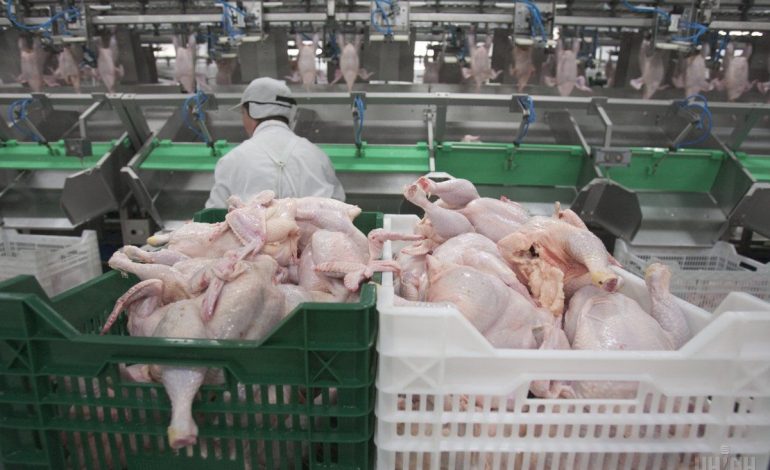 Państwowa Służba Ukrainy ds. Bezpieczeństwa Żywności i Ochrony Konsumentów wykryła salmonellę w transporcie drobiu z Polski