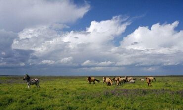 „Atlantic Council”: z powodu zmian klimatycznych Ukraina może przestać być jednym z wiodących eksporterów żywności