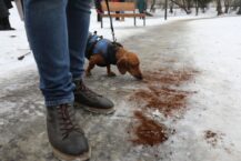 We Lwowie śliskie ulice posypują fusami