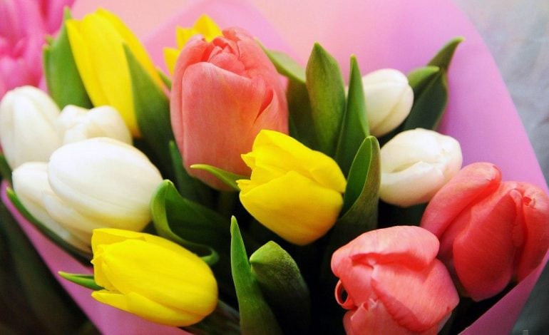 UIPN uważa, że 8 marca nie powinien być na Ukrainie dniem wolnym od pracy