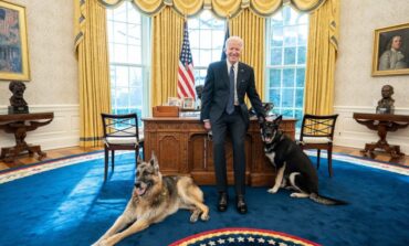Rozmowa Biden-Zełenski. USA potwierdziły poparcie dla Ukrainy wobec rosyjskiej agresji w Donbasie i na Krymie