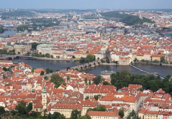 Czechy chcą przyjąć pod ochronę białoruską lekkoatletkę, którą przemocą próbowano wywieźć do Mińska