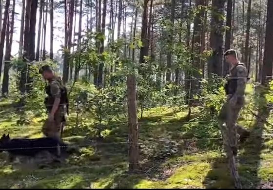Ukraina uszczelnia granicę z Białorusią