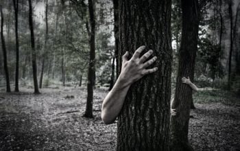 Pulapka migracyjna! Łukaszenka znów „wystrzeliwuje” migrantów przeciw Polsce – alarmują wywiady!
