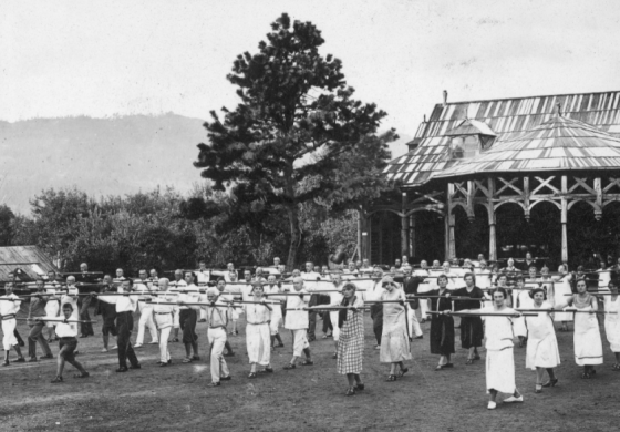 Kosów – lecznica narodu