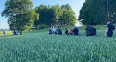 Wilno wie jak powstrzymać nielegalnych migrantów zalewających kraj od strony Białorusi. Mur na granicy to nie wszystko Wilno wie jak powstrzymać nielegalnych migrantów zalewających kraj od strony Białorusi. Mur na granicy to nie wszystko