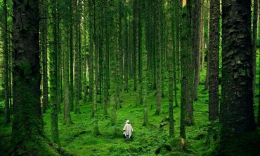 Białorusin posprzątał w Polsce las, władze chcą mu podziękować