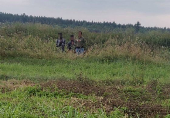 Migranci szturmują granicę od strony Białorusi. Czy sprawdzi się czarny scenariusz Łukaszenki?