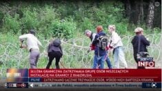 Straż Graniczna zatrzymała grupę osób niszczących zabezpieczenia na granicy z Białorusią – nowe informacje
