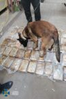 Na Ukrainie wykryto przemyt kokainy w bananach o wartości 10 mln dolarów Na Ukrainie wykryto przemyt kokainy w bananach o wartości 10 mln dolarów