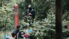 Litwa wydala irackiego imigranta. Jest podejrzany o kontakty z terrorystami