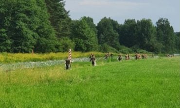 Wojsko Polskie stawia zasieki na granicy z Białorusią (FOTOFAKT)