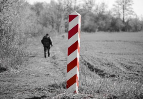 Nielegalny imigrant pozywa polską Straż Graniczną, która zawróciła go na Białoruś