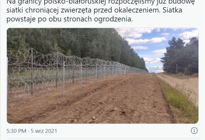 Na granicy z Białorusią powstają dodatkowe zabezpieczenia. Mają chronić zwierzęta