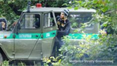 Coraz więcej migrantów naciera na granicę z Białorusi. Padł rekord (WIDEO)