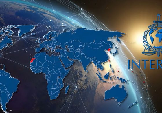 Białoruska opozycja apeluje do Interpolu o zerwanie współpracy z władzami Białorusi