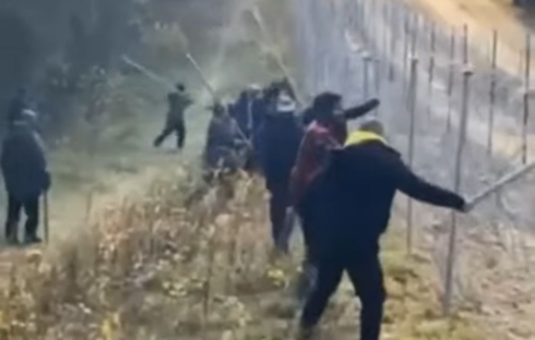 Atak migrantów na granicy z Białorusią. Pogranicznicy musieli uciekać!