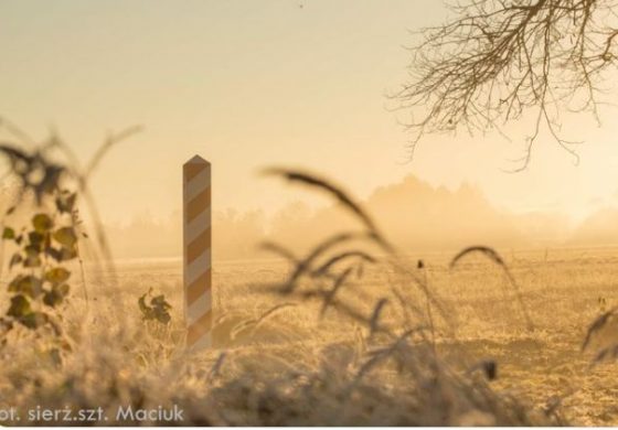 Nieoficjalnie: UE przygotowuje decyzję o zaprzestaniu wydawania wiz obywatelom Białorusi