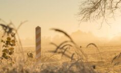 Reżim w Mińsku przygotowuje kolejna prowokację na granicy z Polską?