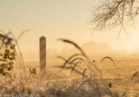 Reżim w Mińsku przygotowuje kolejna prowokację na granicy z Polską?