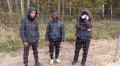 „Germany! Germany!” Ponad 4300 migrantów przybyło już do Niemiec „szlakiem białoruskim”