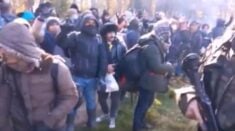 PILNE! Straż Graniczna publikuje nagranie siłowego forsowania polskiej granicy przez imigrantów (WIDEO)