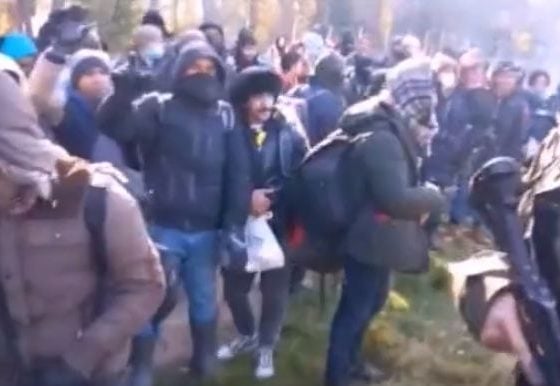 PILNE! Straż Graniczna publikuje nagranie siłowego forsowania polskiej granicy przez imigrantów (WIDEO)