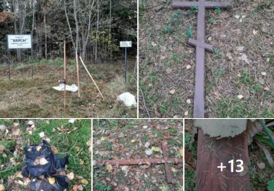 Białoruś: Znów zdewastowano Witebskie Kuropaty!