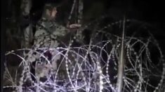 MON ujawnia nagranie: Pijani białoruscy funkcjonariusze wypychają na polską stronę “turystów” (WIDEO)